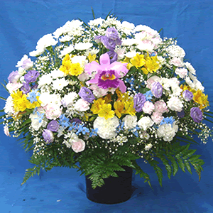 供花（洋）